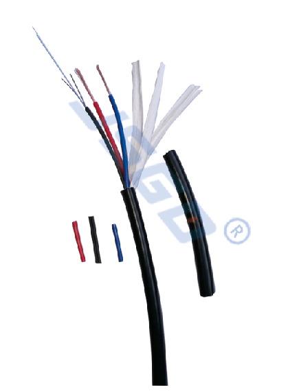 QQDƬ20210531162000.png